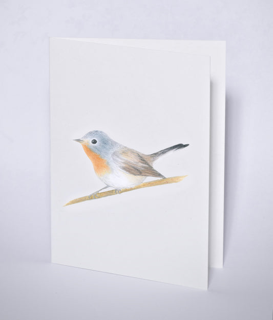 Dvergfluesnapper (Ficedula Parva)