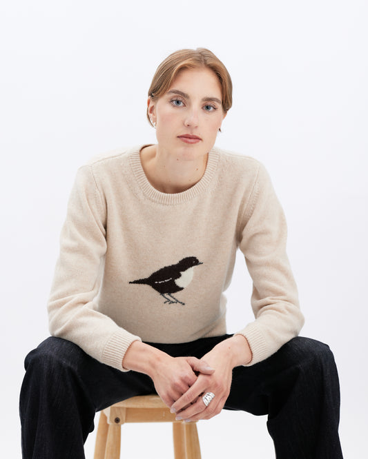 Fuglegenser med fossekall.