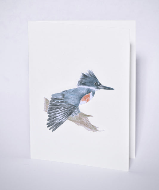 Postkort med belteisfugl-motiv.