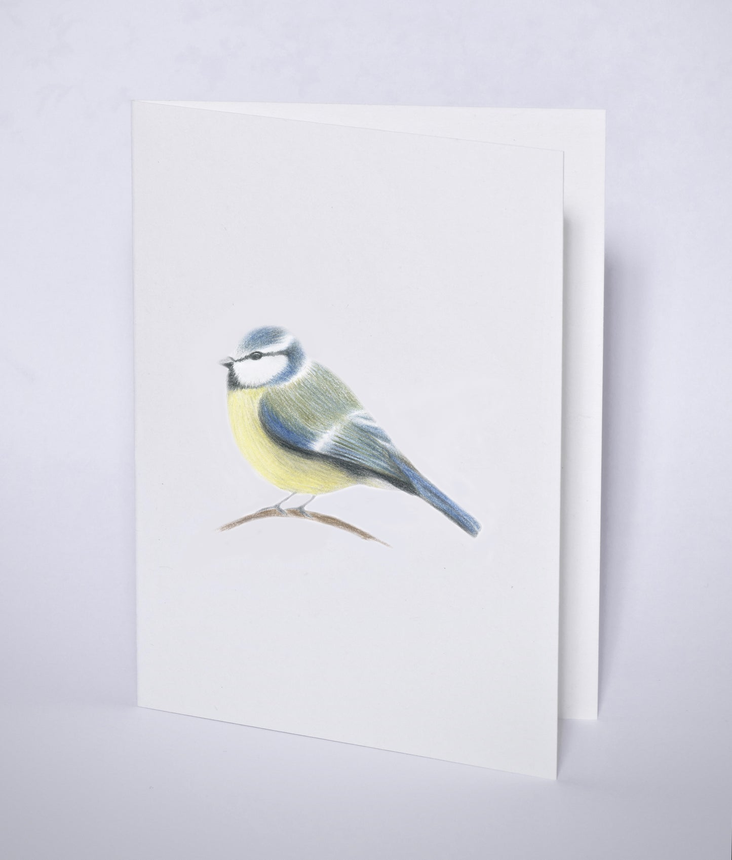 Postkort med blåmeis-motiv.