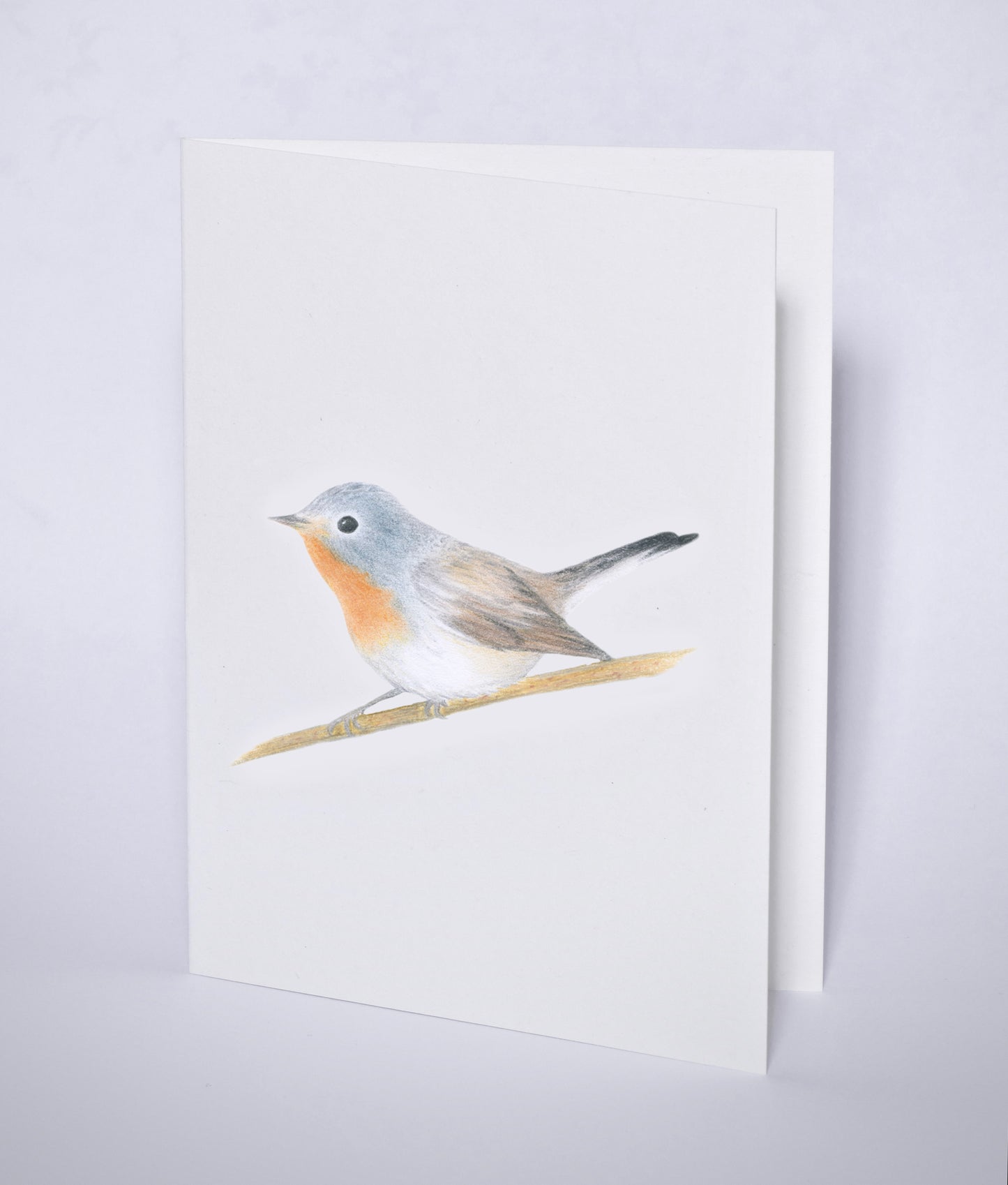 Postkort med dvergfluesnapper-motiv.