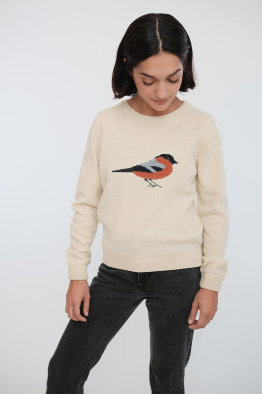 Miljøvennlig genser med dompap på brystet.